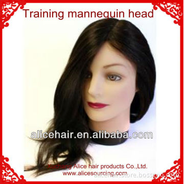 Wholesale price training mannequin head for sale